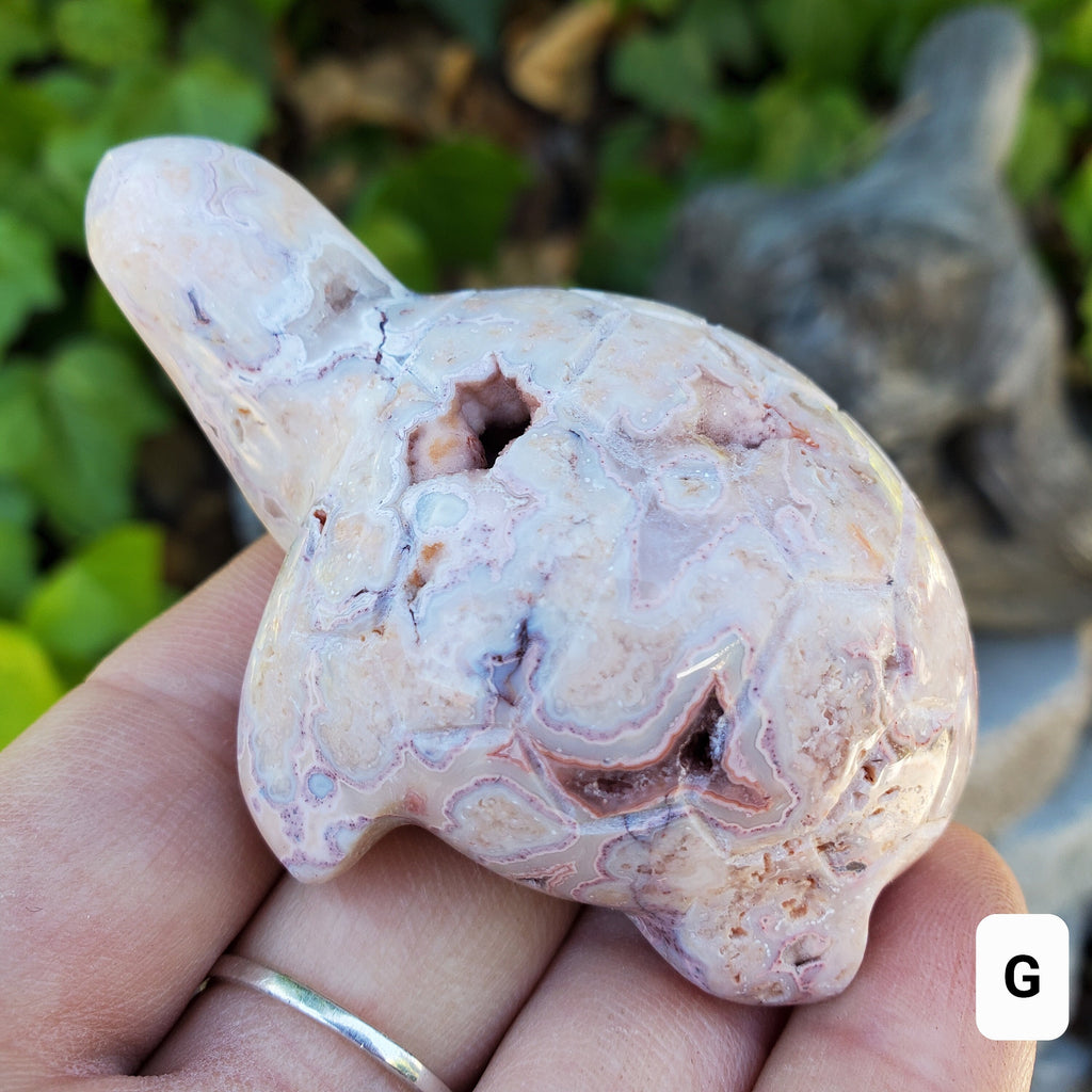 Druzy Pink Lace Agate Turtle - Balance Physical, Mental, Emotional - Pink Agate Crystal Turtle Carving Healing Gemstone