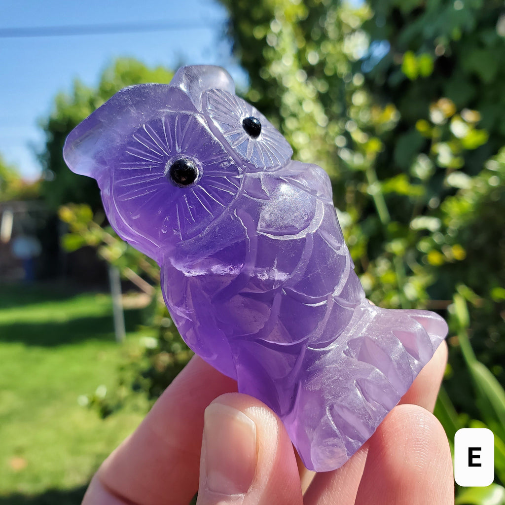 Cute Purple Fluorite Owl - Stability, Concentration, Energetic Protection - Standing Crystal Owl Healing Crystal Gemstone