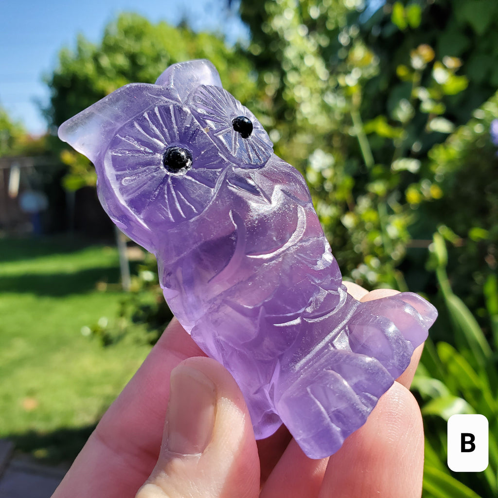 Cute Purple Fluorite Owl - Stability, Concentration, Energetic Protection - Standing Crystal Owl Healing Crystal Gemstone