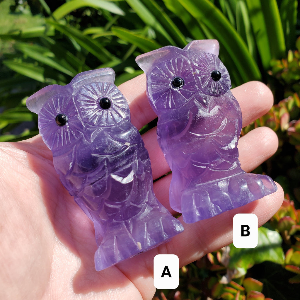 Cute Purple Fluorite Owl - Stability, Concentration, Energetic Protection - Standing Crystal Owl Healing Crystal Gemstone