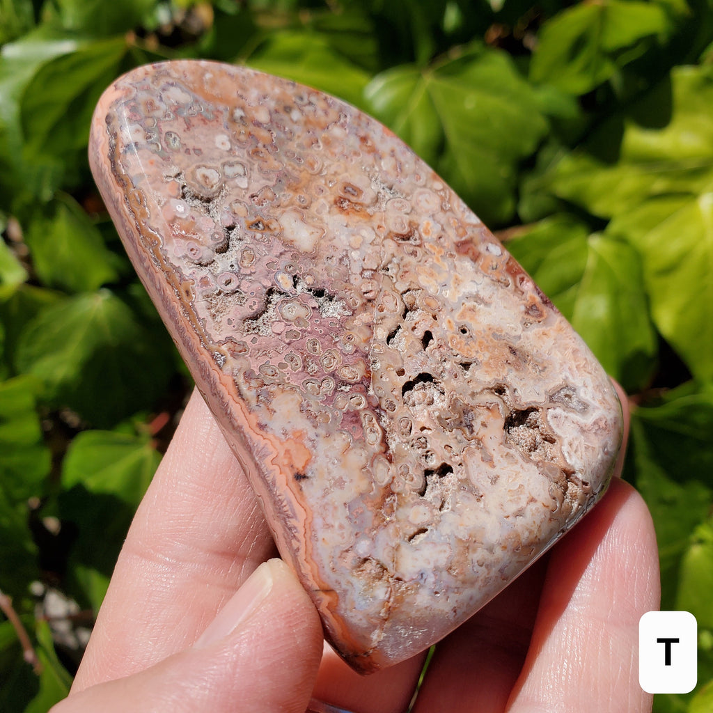 Small Pink Lace Agate Druzy Freeform - Balance Physical, Mental, Emotional - Pink Agate Crystal Druzy Cluster Healing Gemstones