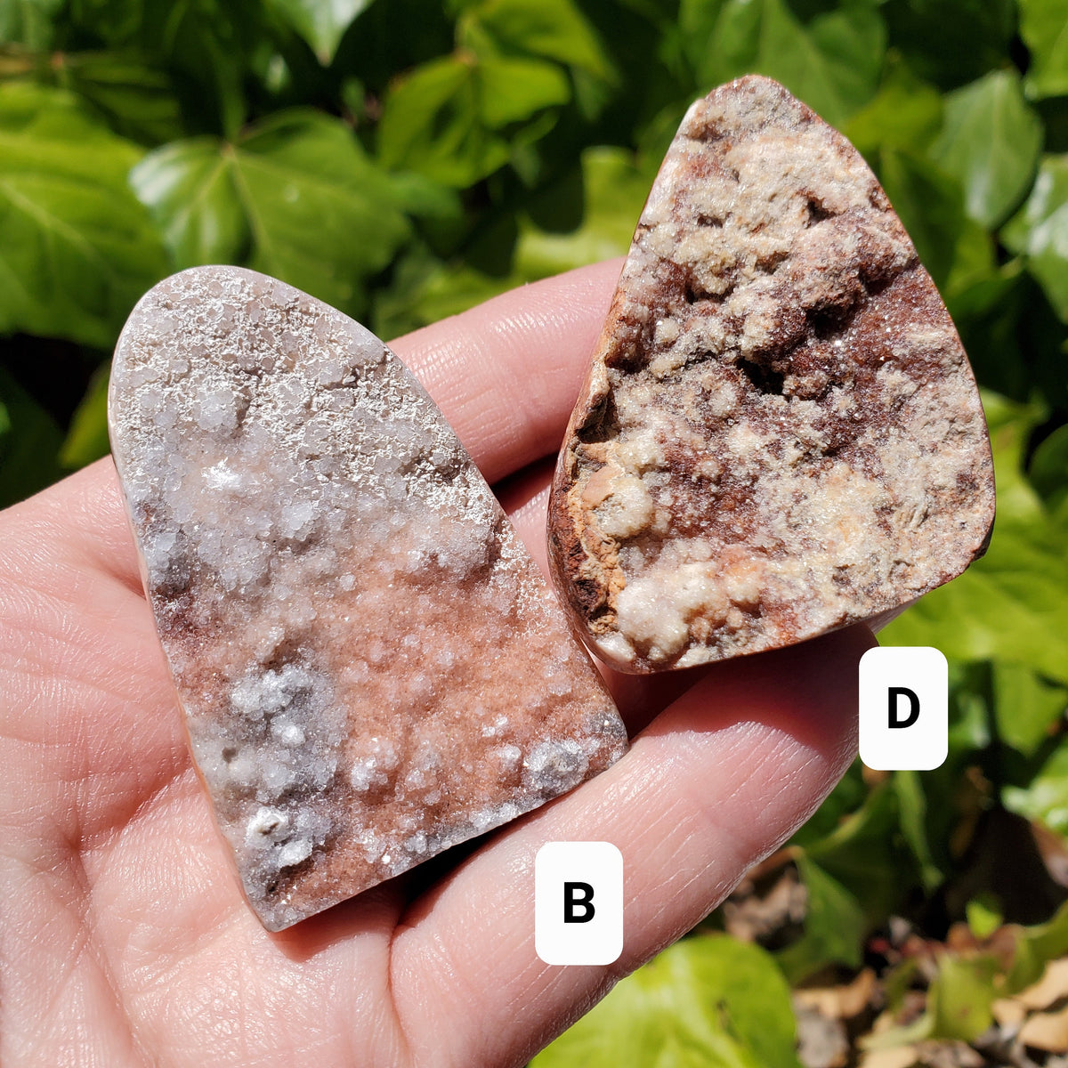 Small Pink Lace Agate Druzy Freeform - Balance Physical, Mental, Emotional - Pink Agate Crystal Druzy Cluster Healing Gemstones
