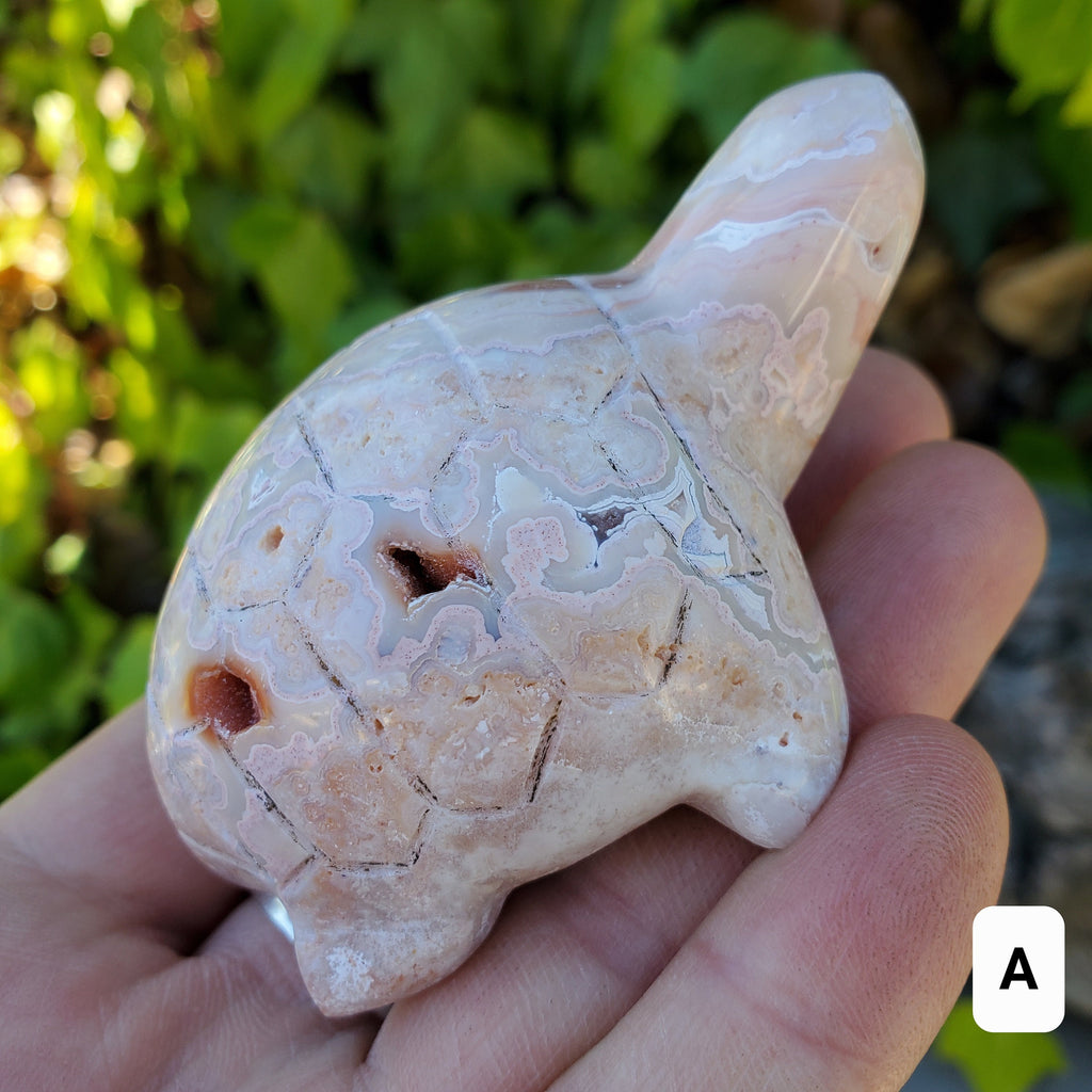 Druzy Pink Lace Agate Turtle - Balance Physical, Mental, Emotional - Pink Agate Crystal Turtle Carving Healing Gemstone