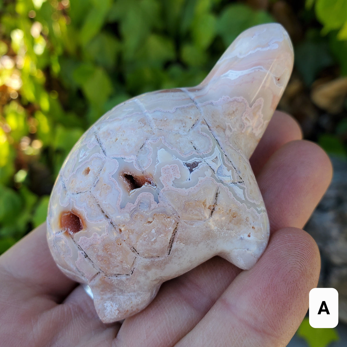 Druzy Pink Lace Agate Turtle - Balance Physical, Mental, Emotional - Pink Agate Crystal Turtle Carving Healing Gemstone