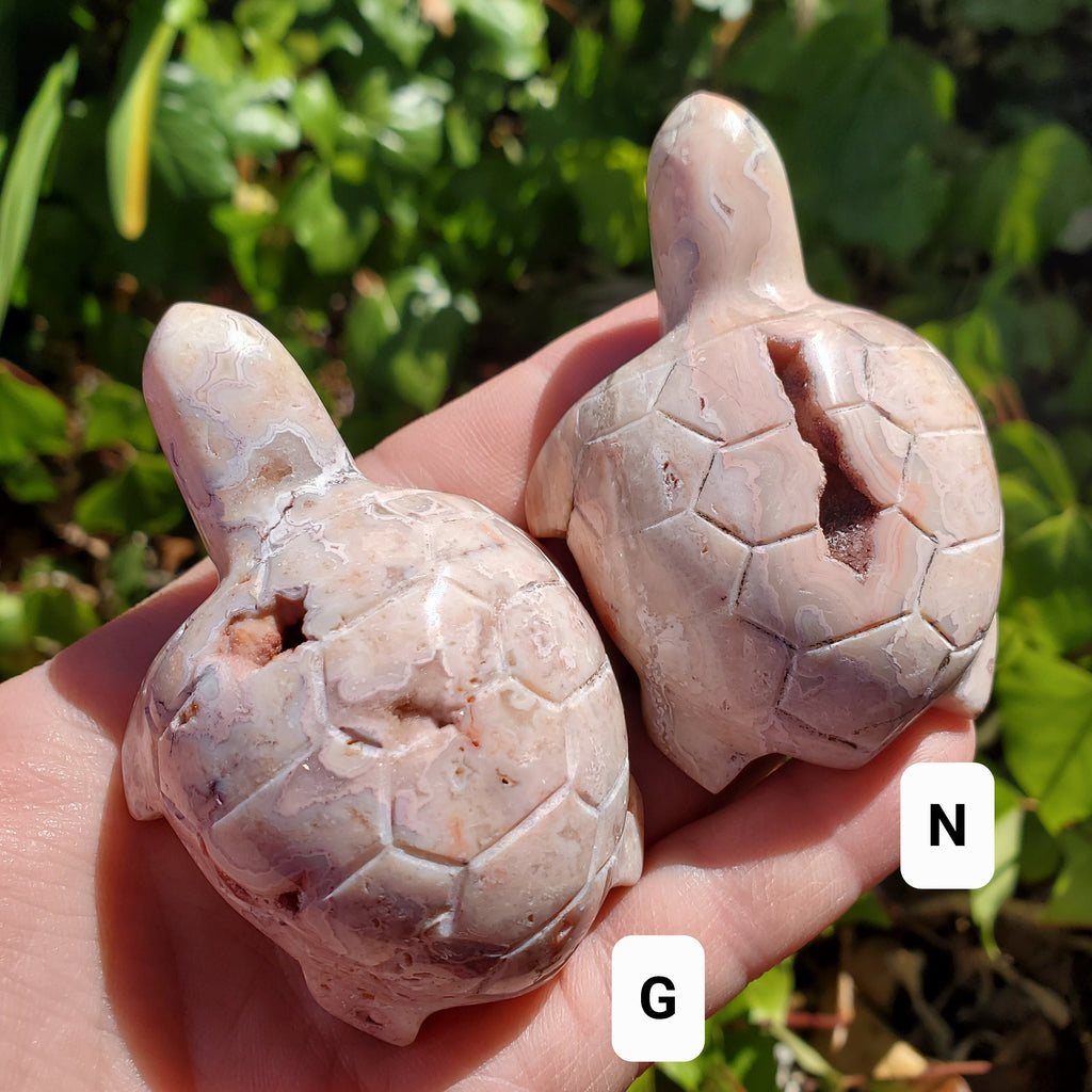 Druzy Pink Lace Agate Turtle - Balance Physical, Mental, Emotional - Pink Agate Crystal Turtle Carving Healing Gemstone