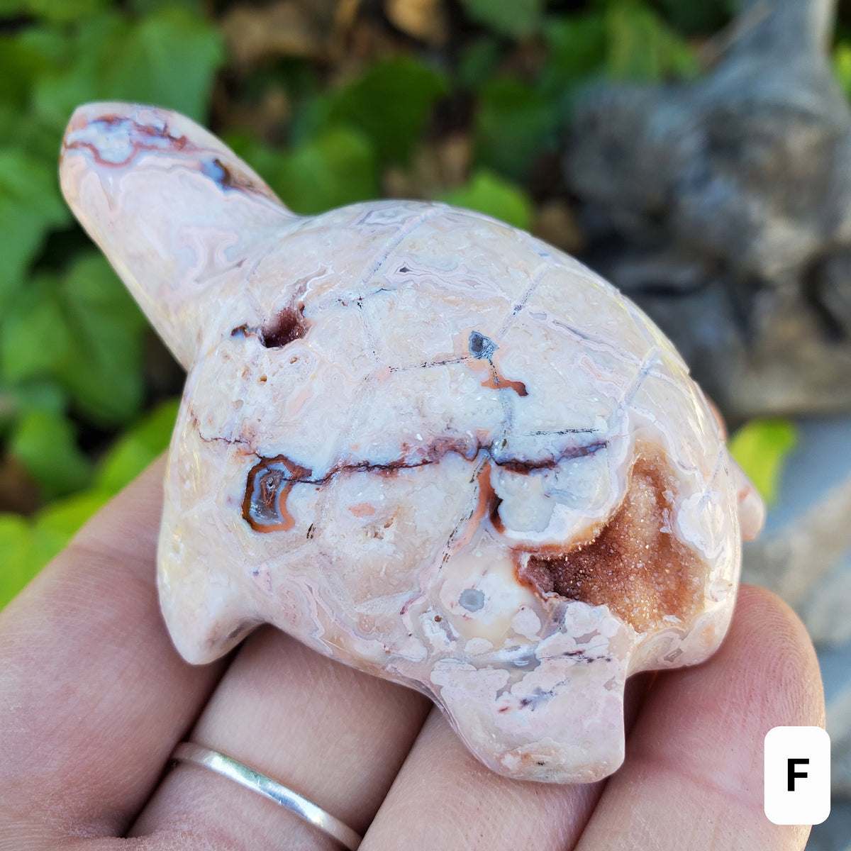 Druzy Pink Lace Agate Turtle - Balance Physical, Mental, Emotional - Pink Agate Crystal Turtle Carving Healing Gemstone