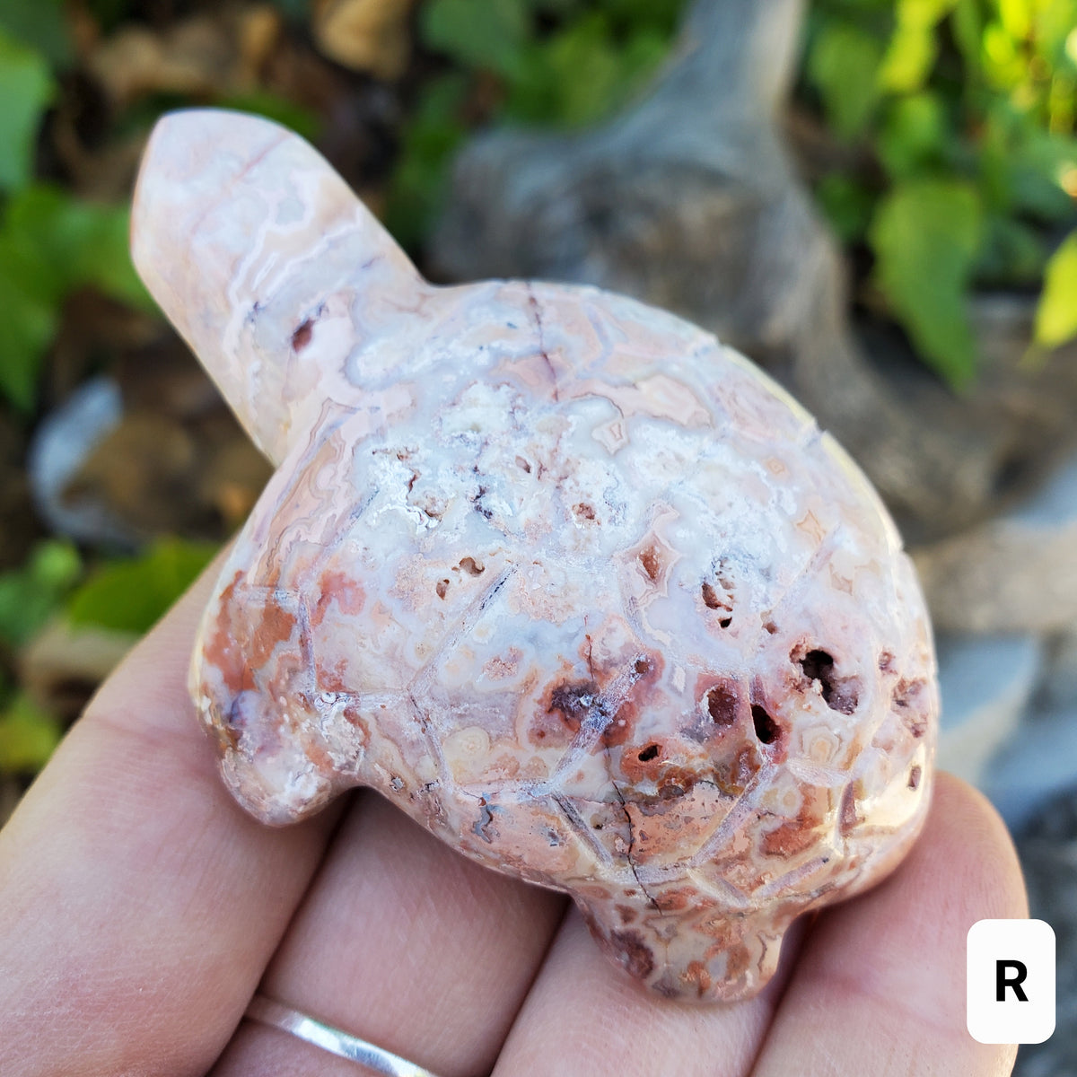 Druzy Pink Lace Agate Turtle - Balance Physical, Mental, Emotional - Pink Agate Crystal Turtle Carving Healing Gemstone