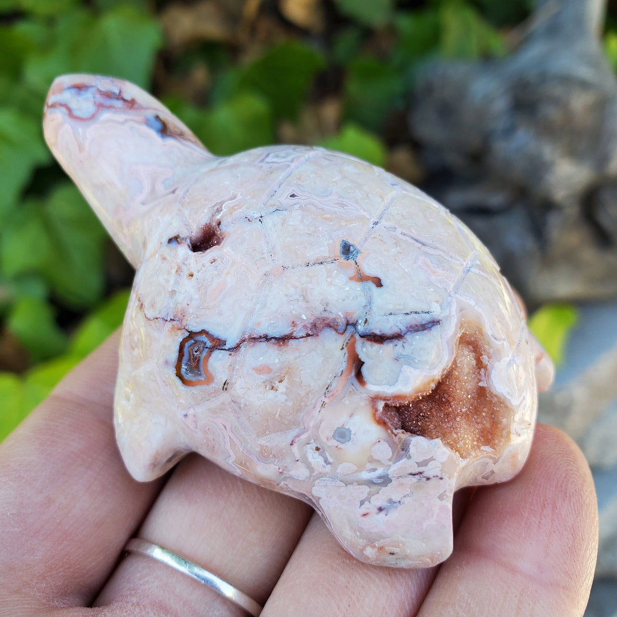 Druzy Pink Lace Agate Turtle - Balance Physical, Mental, Emotional - Pink Agate Crystal Turtle Carving Healing Gemstone