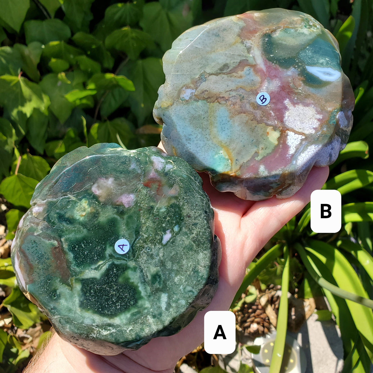 Big Ocean Jasper Flower - Strength, Renewal, Tranquility - Jasper Crystal Rose Carving Healing Crystals Gemstones