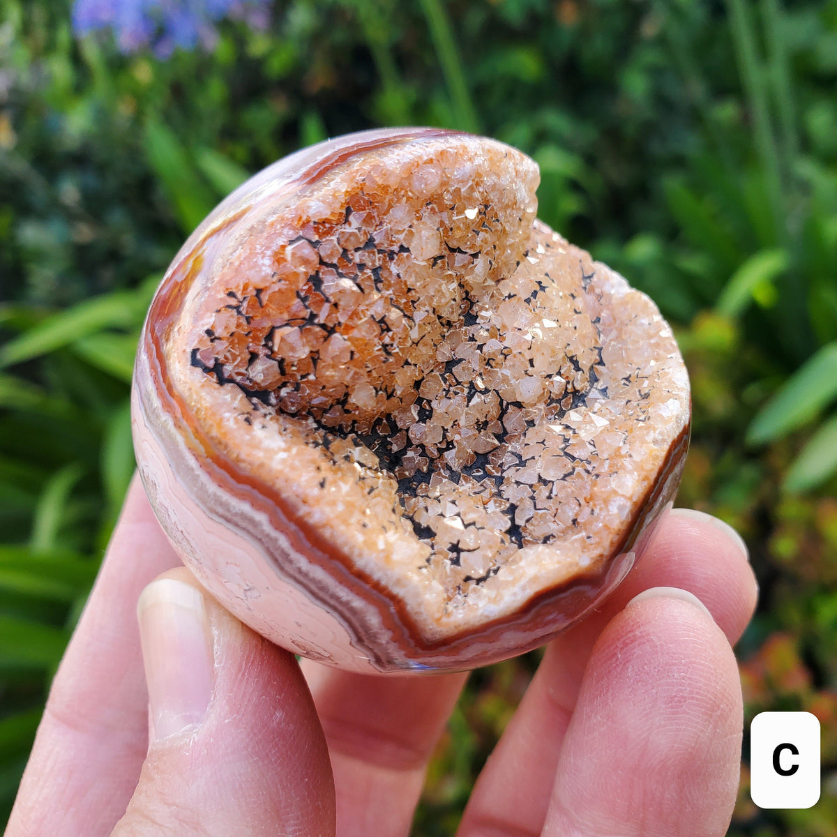 Pink Lace Agate Druzy Half Sphere - Balance of the Physical, Mental & Emotional - Pink Agate Crystal Ball Healing Gemstone