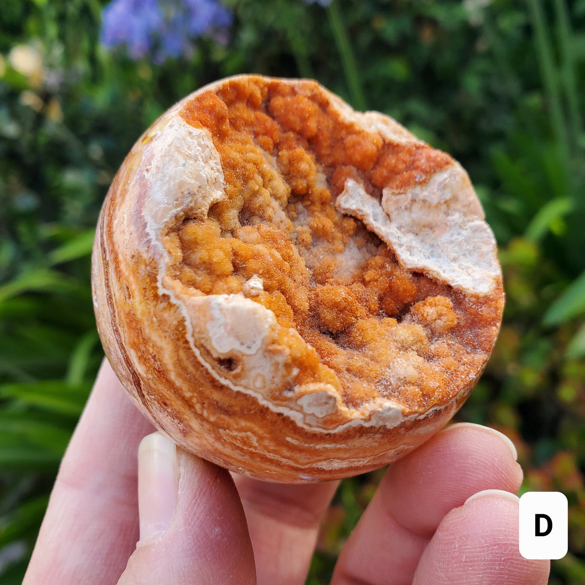Pink Lace Agate Druzy Half Sphere - Balance of the Physical, Mental & Emotional - Pink Agate Crystal Ball Healing Gemstone