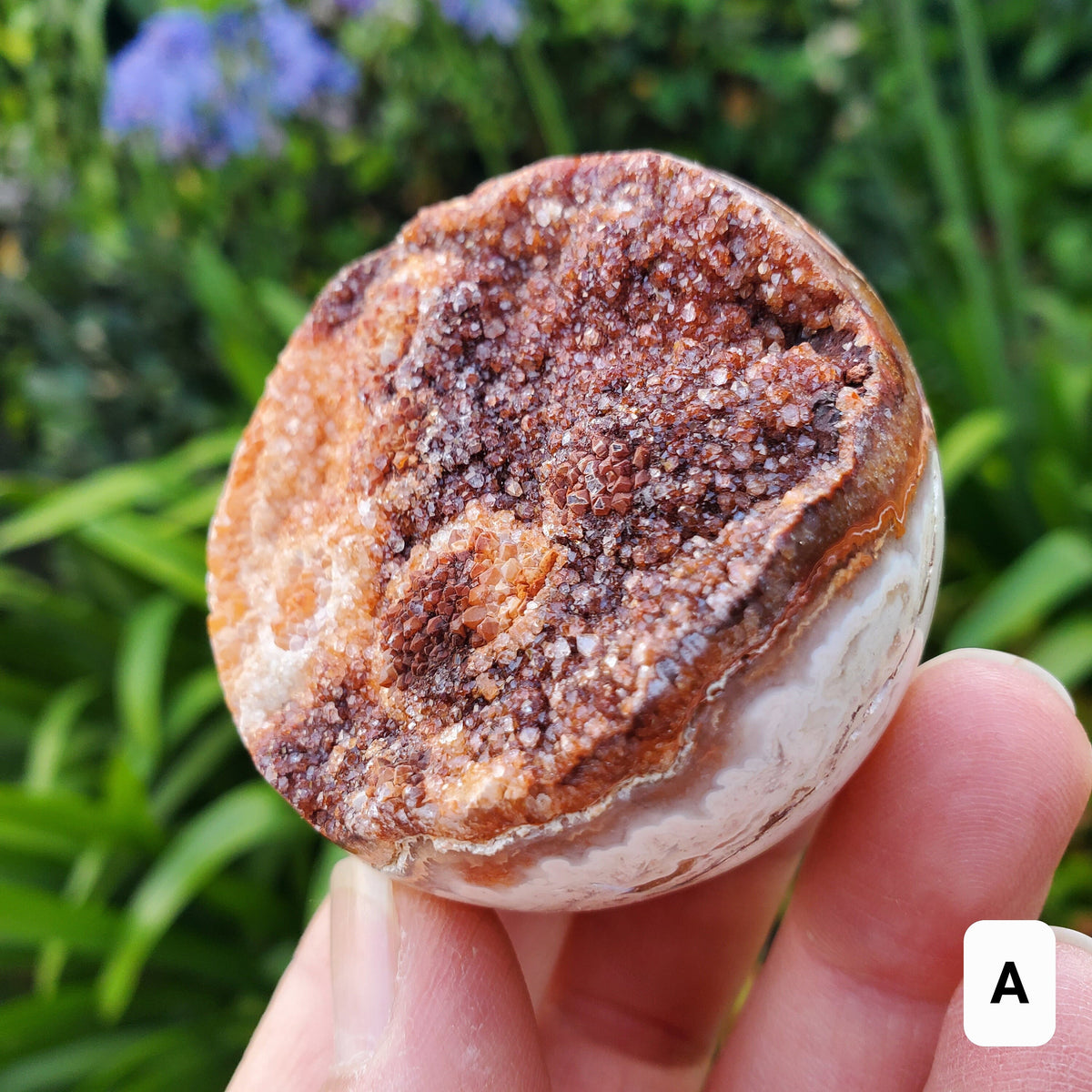 Pink Lace Agate Druzy Half Sphere - Balance of the Physical, Mental & Emotional - Pink Agate Crystal Ball Healing Gemstone