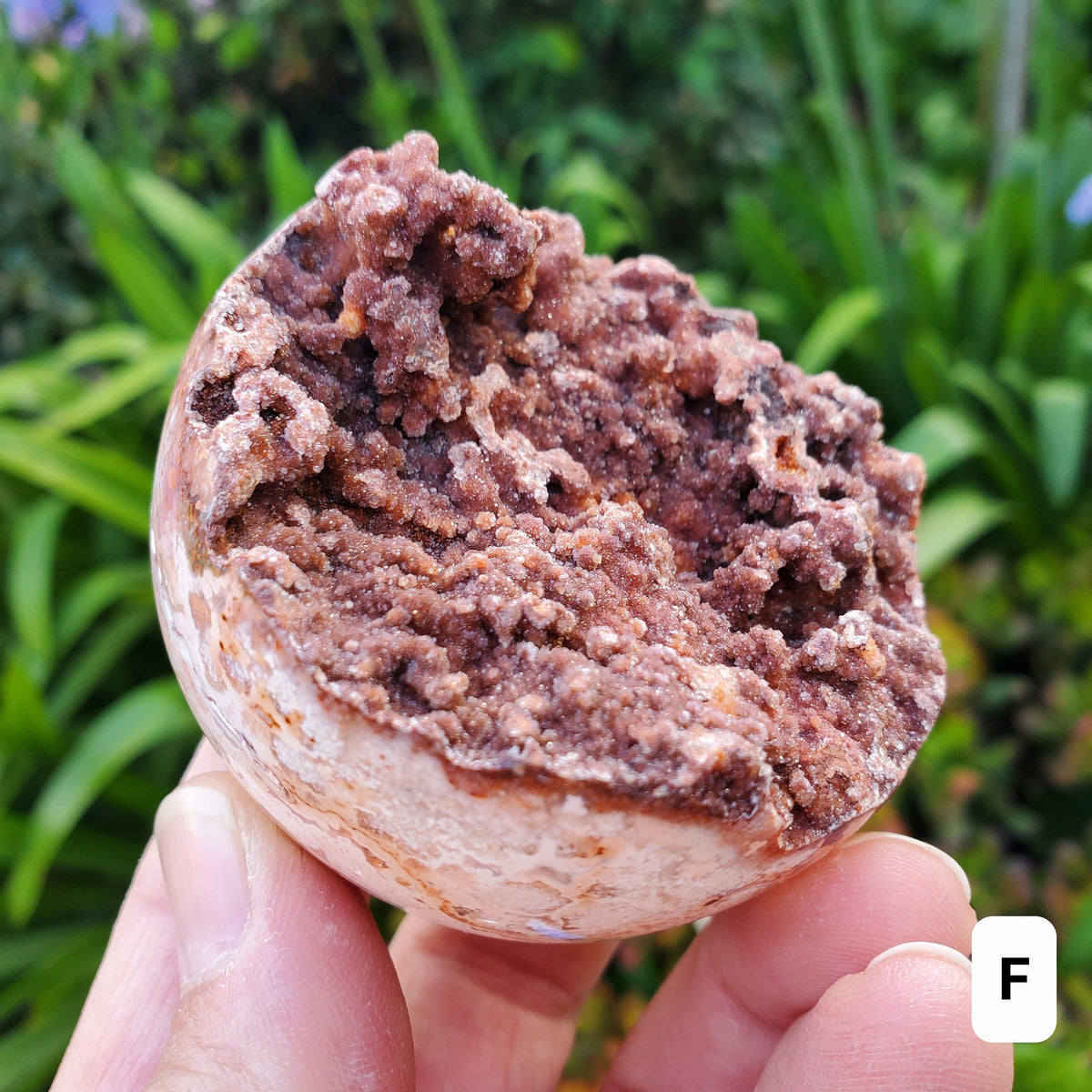 Pink Lace Agate Druzy Half Sphere - Balance of the Physical, Mental & Emotional - Pink Agate Crystal Ball Healing Gemstone