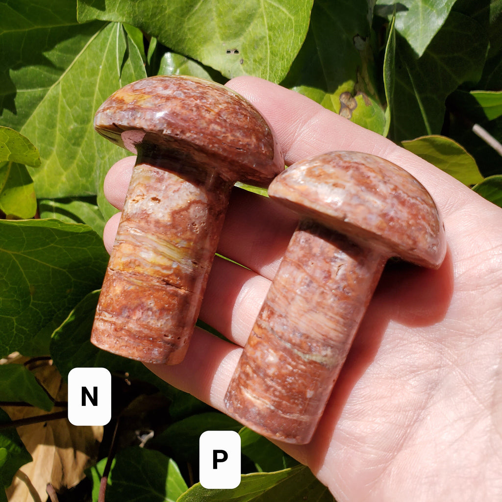 Crazy Lace Agate Mushroom - Balance of the Physical, Mental & Emotional, Energy Shield - Agate Crystal Mushie Carving Healing Gemstone