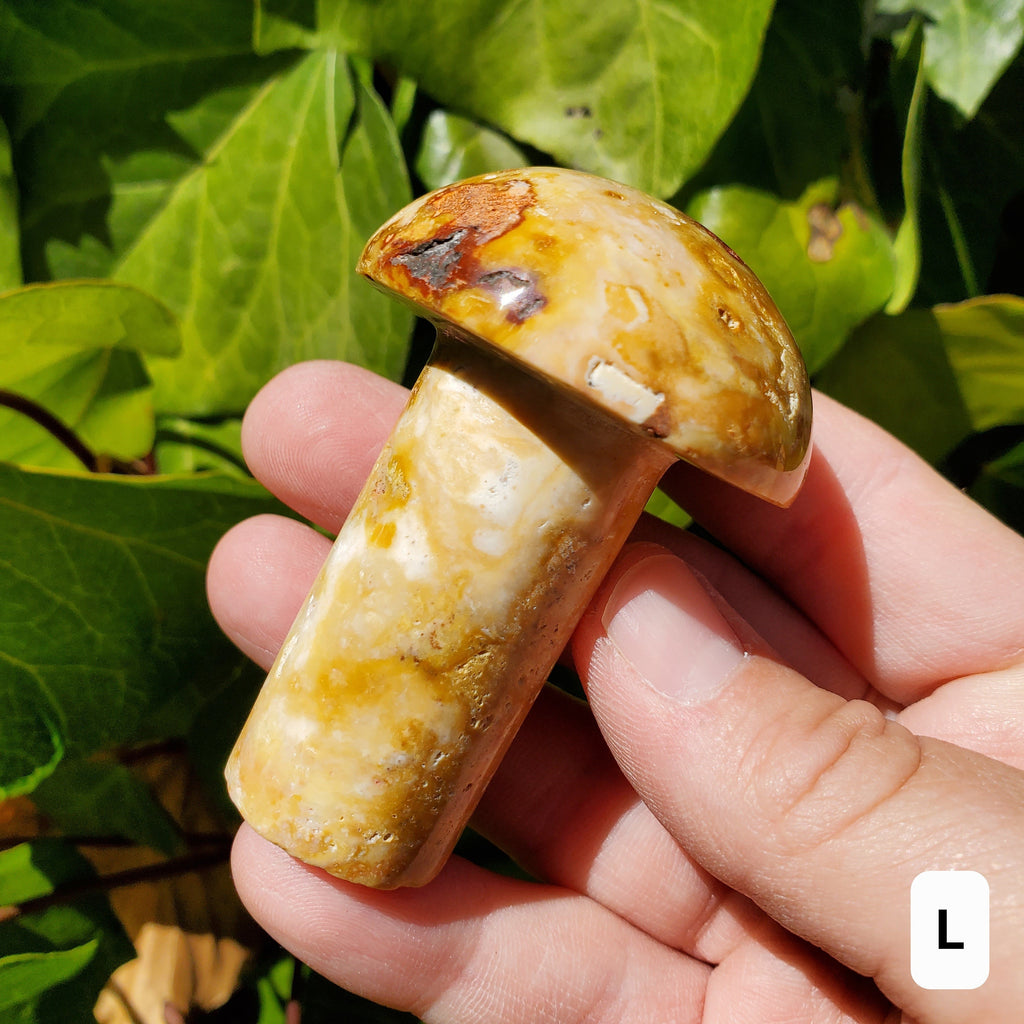 Crazy Lace Agate Mushroom - Balance of the Physical, Mental & Emotional, Energy Shield - Agate Crystal Mushie Carving Healing Gemstone