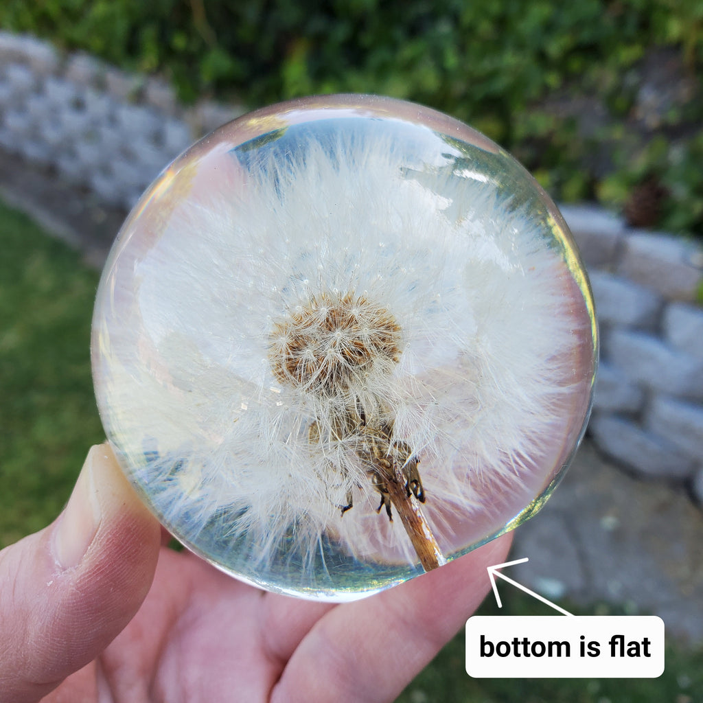 Dandelion Accent Light | Handmade Resin Craft with Real Dandelion Inside - Flower Sphere Lamp, Home Décor Night Light Vanity Living Room