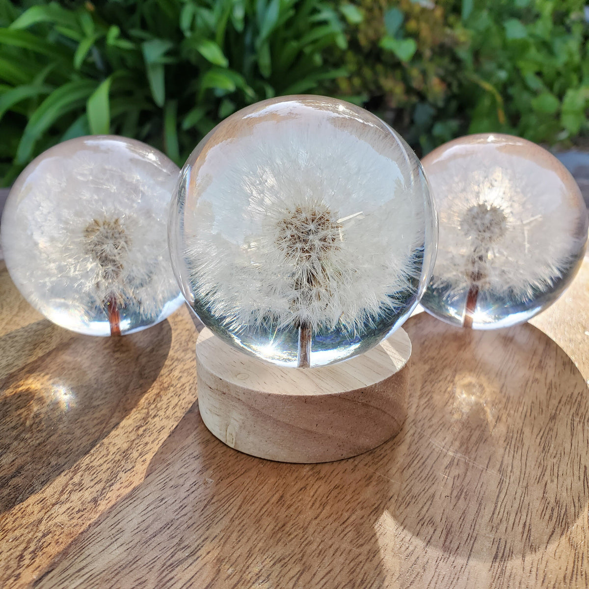Dandelion Accent Light | Handmade Resin Craft with Real Dandelion Inside - Flower Sphere Lamp, Home Décor Night Light Vanity Living Room