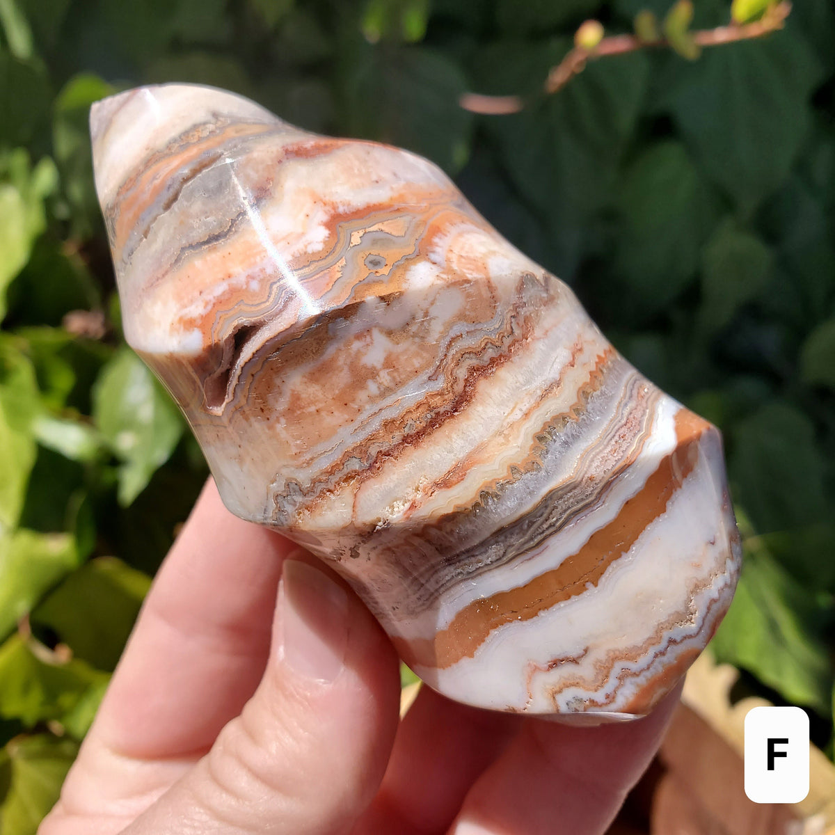 Pink Lace Agate Crystal Flame - Balance of the Physical, Mental & Emotional - Pink Agate Flame Healing Gemstone
