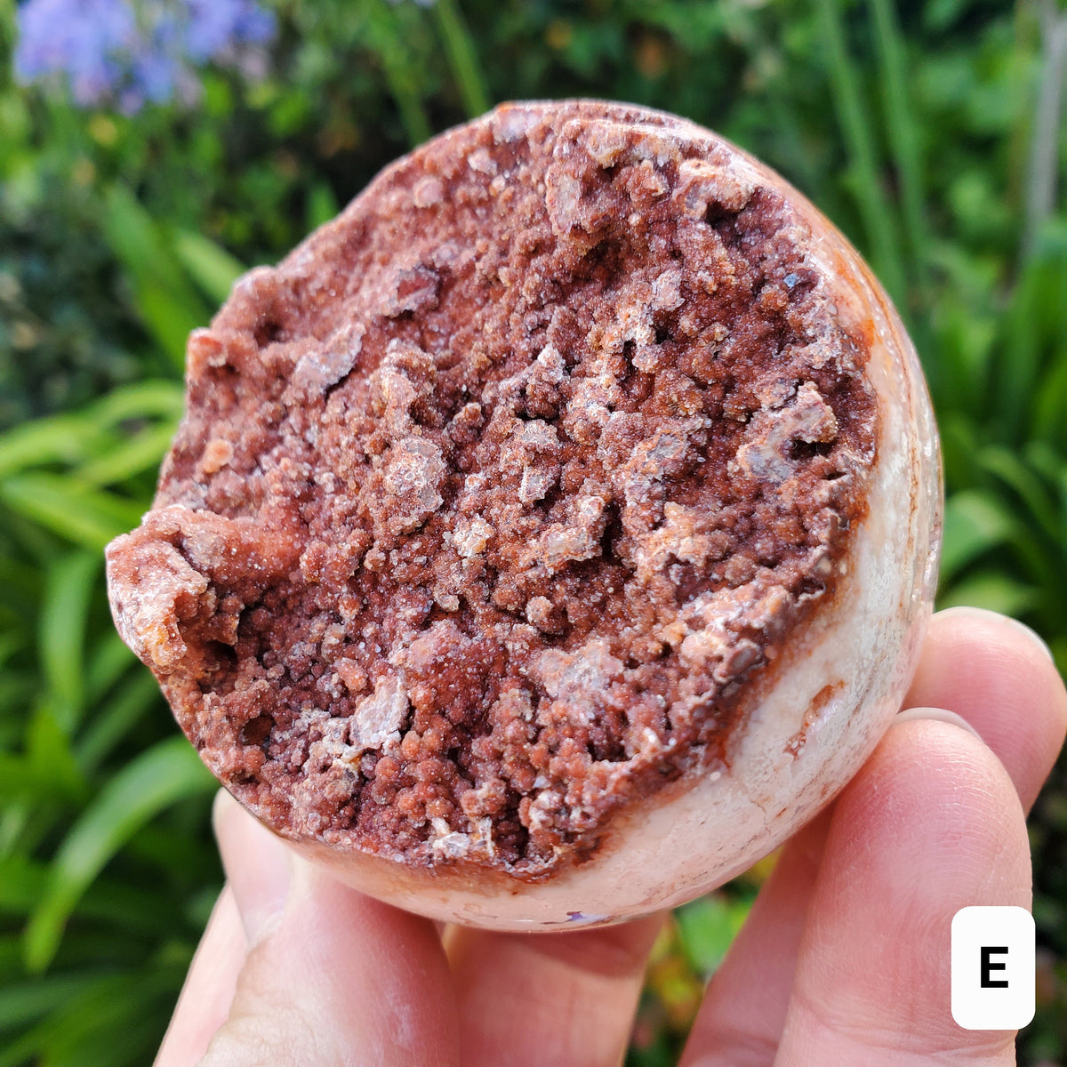 Pink Lace Agate Druzy Half Sphere - Balance of the Physical, Mental & Emotional - Pink Agate Crystal Ball Healing Gemstone
