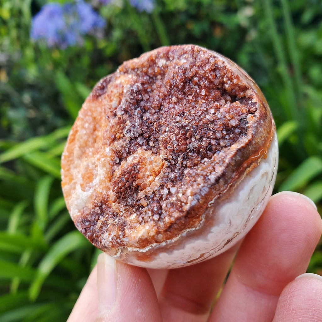 Pink Lace Agate Druzy Half Sphere - Balance of the Physical, Mental & Emotional - Pink Agate Crystal Ball Healing Gemstone