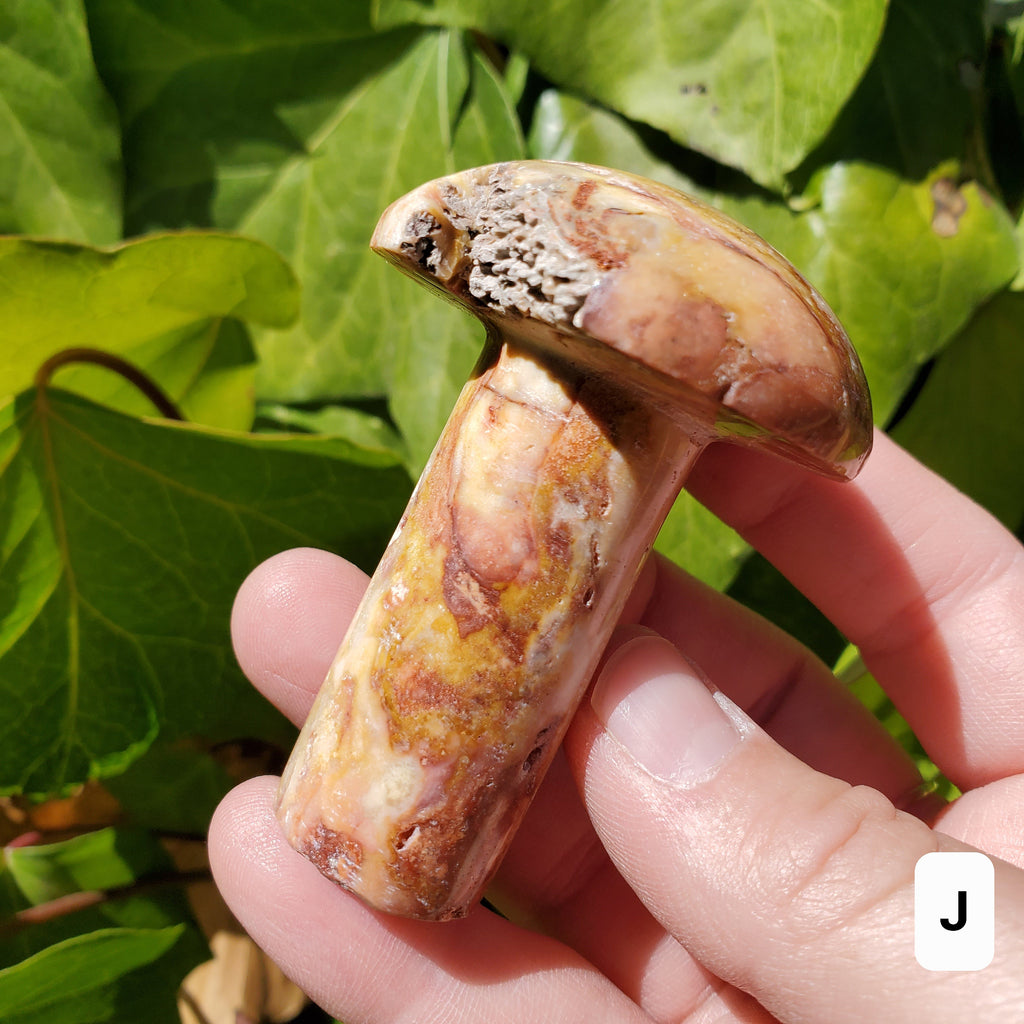 Crazy Lace Agate Mushroom - Balance of the Physical, Mental & Emotional, Energy Shield - Agate Crystal Mushie Carving Healing Gemstone