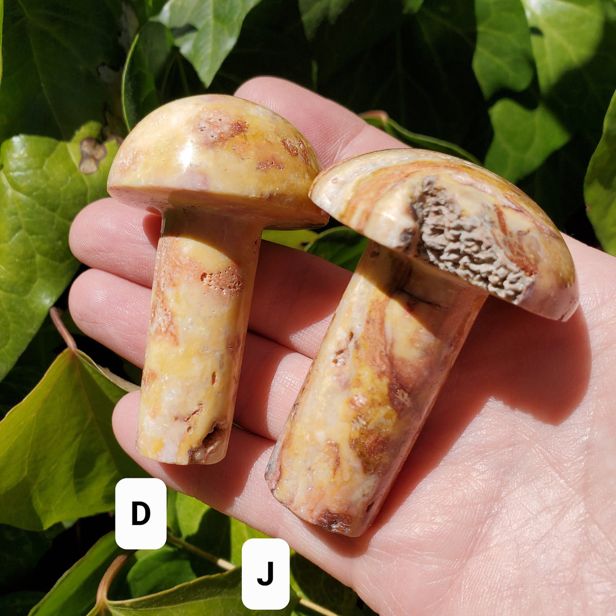 Crazy Lace Agate Mushroom - Balance of the Physical, Mental & Emotional, Energy Shield - Agate Crystal Mushie Carving Healing Gemstone