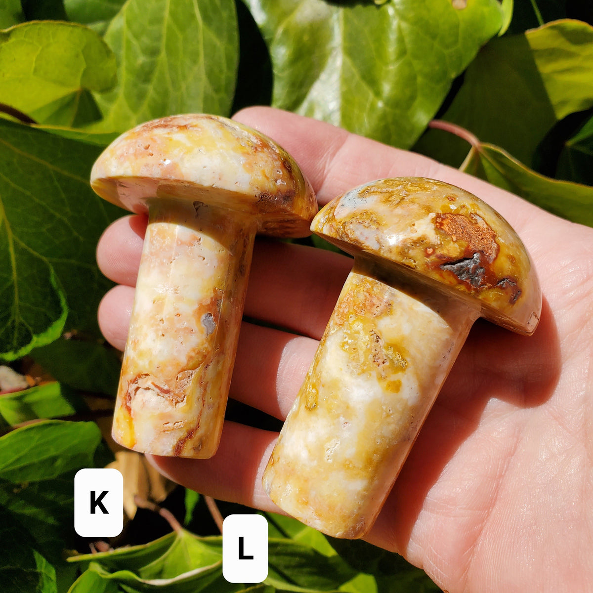 Crazy Lace Agate Mushroom - Balance of the Physical, Mental & Emotional, Energy Shield - Agate Crystal Mushie Carving Healing Gemstone