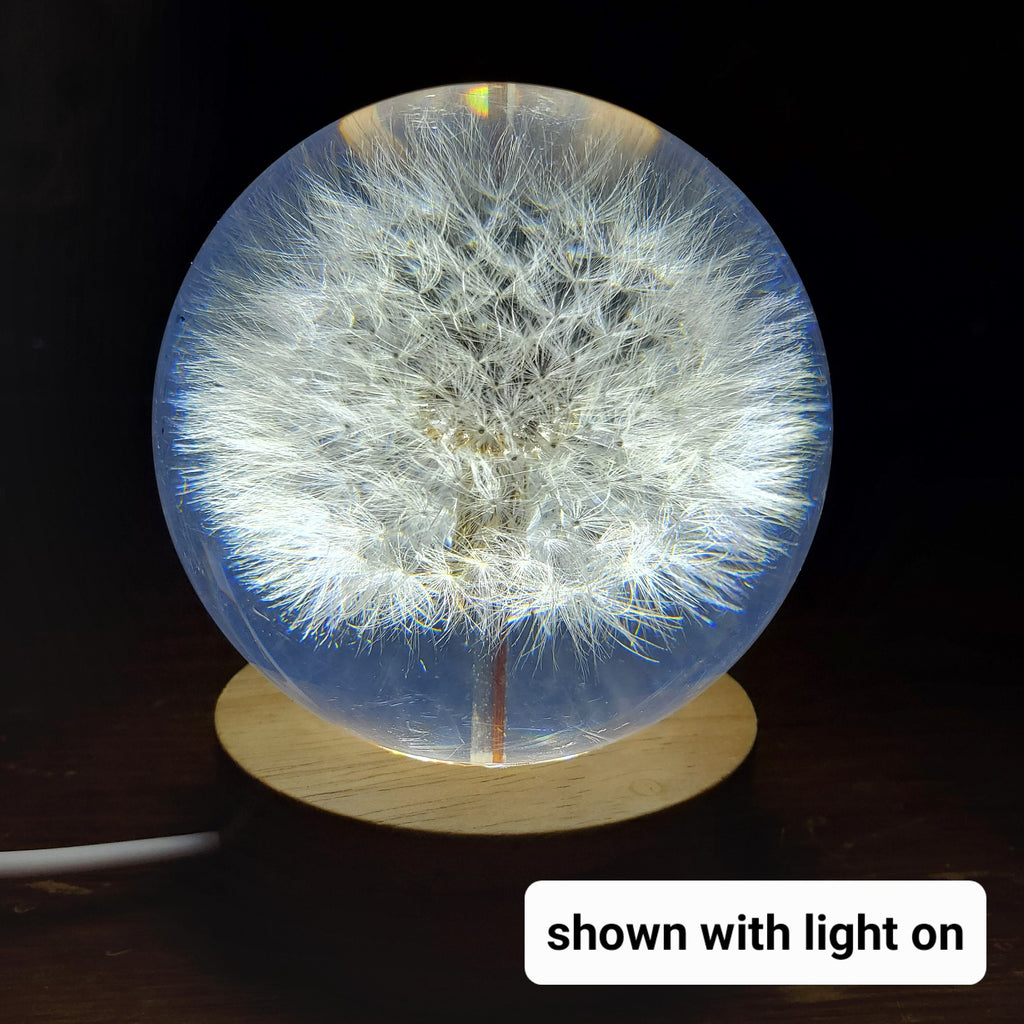 Dandelion Accent Light | Handmade Resin Craft with Real Dandelion Inside - Flower Sphere Lamp, Home Décor Night Light Vanity Living Room