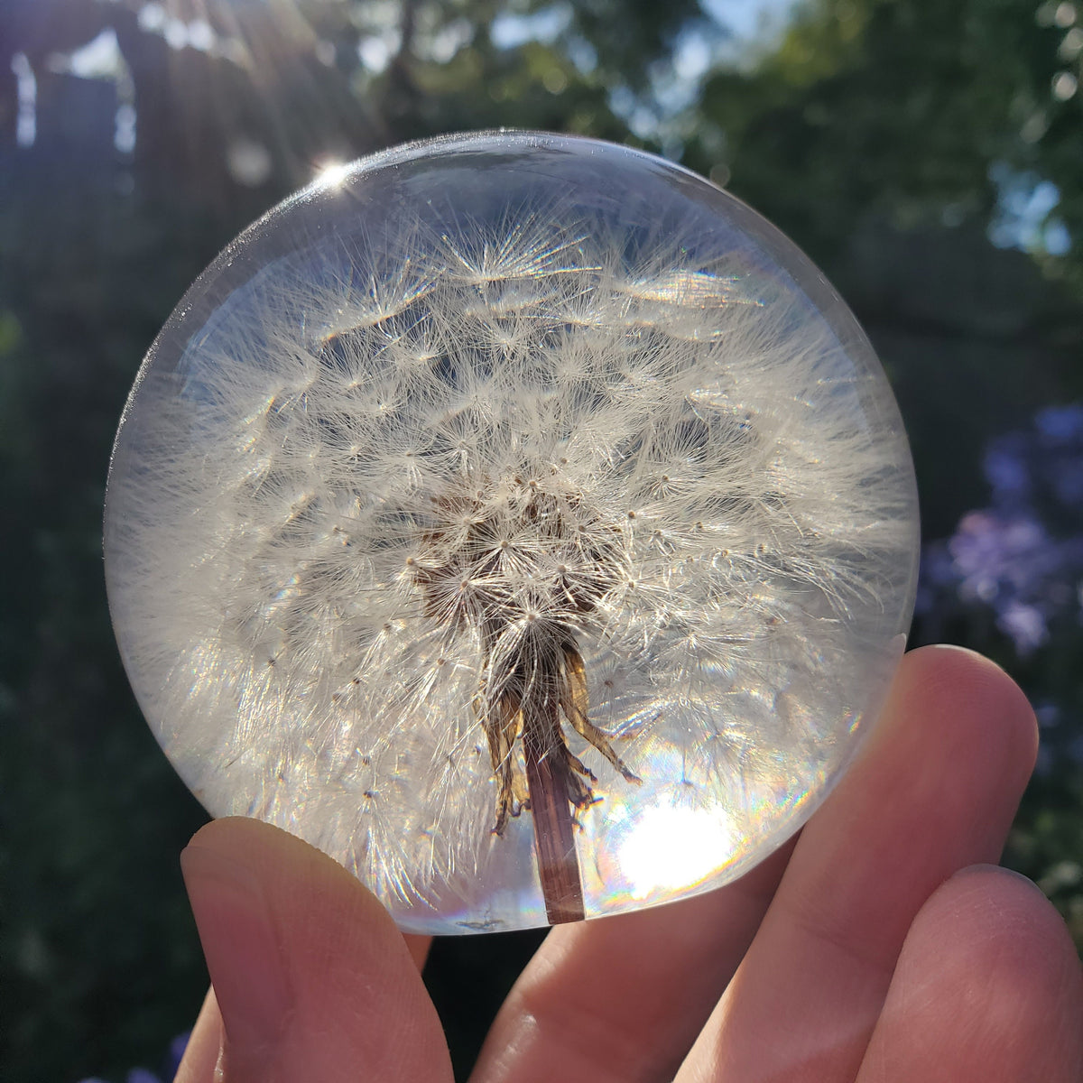 Dandelion Accent Light | Handmade Resin Craft with Real Dandelion Inside - Flower Sphere Lamp, Home Décor Night Light Vanity Living Room