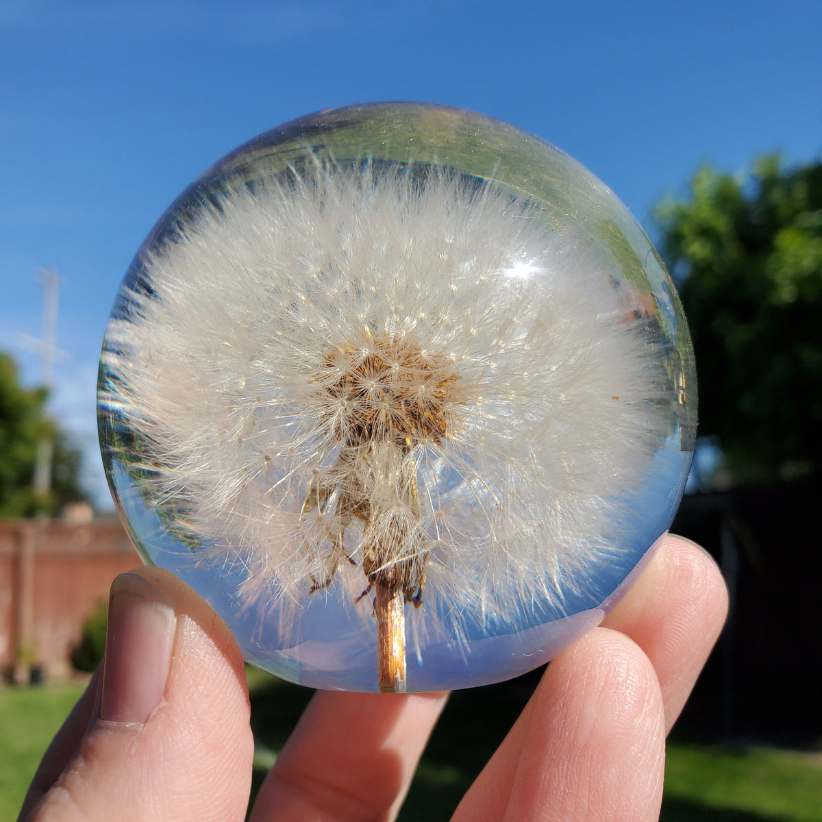 Dandelion Accent Light | Handmade Resin Craft with Real Dandelion Inside - Flower Sphere Lamp, Home Décor Night Light Vanity Living Room