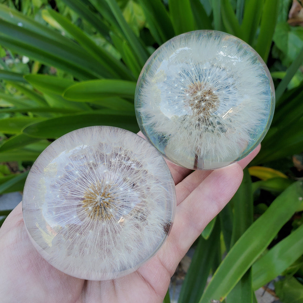 Dandelion Accent Light | Handmade Resin Craft with Real Dandelion Inside - Flower Sphere Lamp, Home Décor Night Light Vanity Living Room