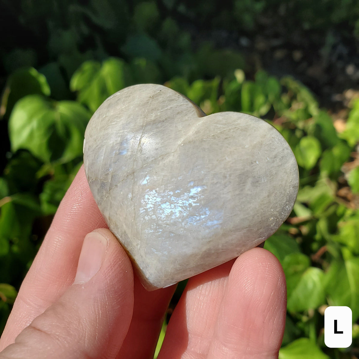 Small Moonstone Heart 2" - Uplifting, Feminine Energy, Empowering - Flashy Moonstone Crystal Carved Heart Healing Point Gemstone