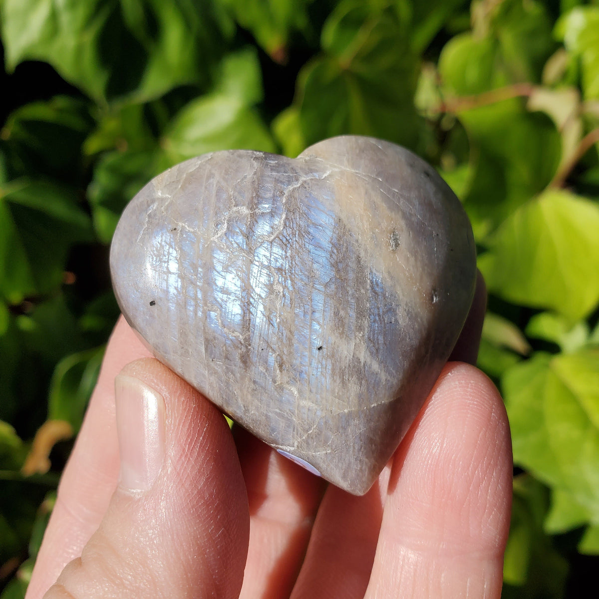 Small Moonstone Heart 2" - Uplifting, Feminine Energy, Empowering - Flashy Moonstone Crystal Carved Heart Healing Point Gemstone