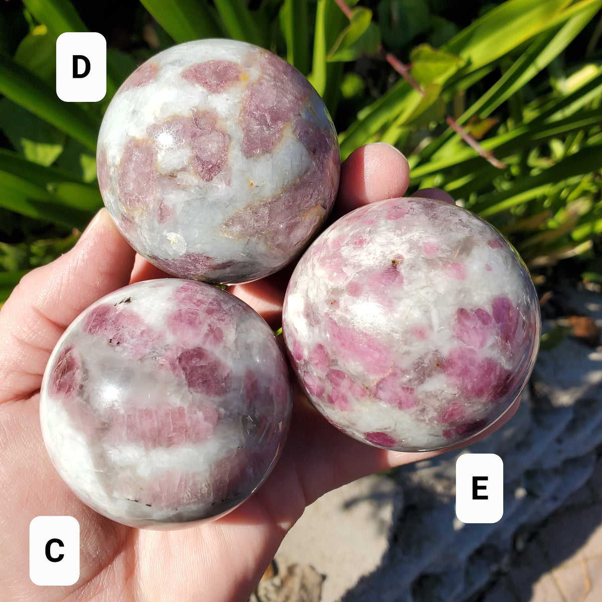 Pink Tourmaline Sphere - Unconditional Love, Healing, Understanding, Feeling Safe - Rubellite Sphere Crystal Ball Gemstones