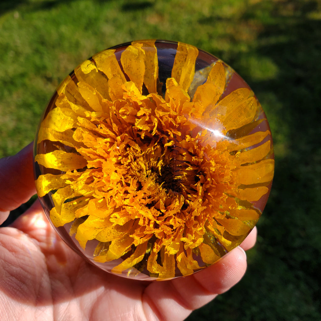 Sunflower Accent Light with Wooden Stand | Handmade Resin Craft with Real Sunflower Inside - Home Décor Night Light, Accent Lamp, Mood Light