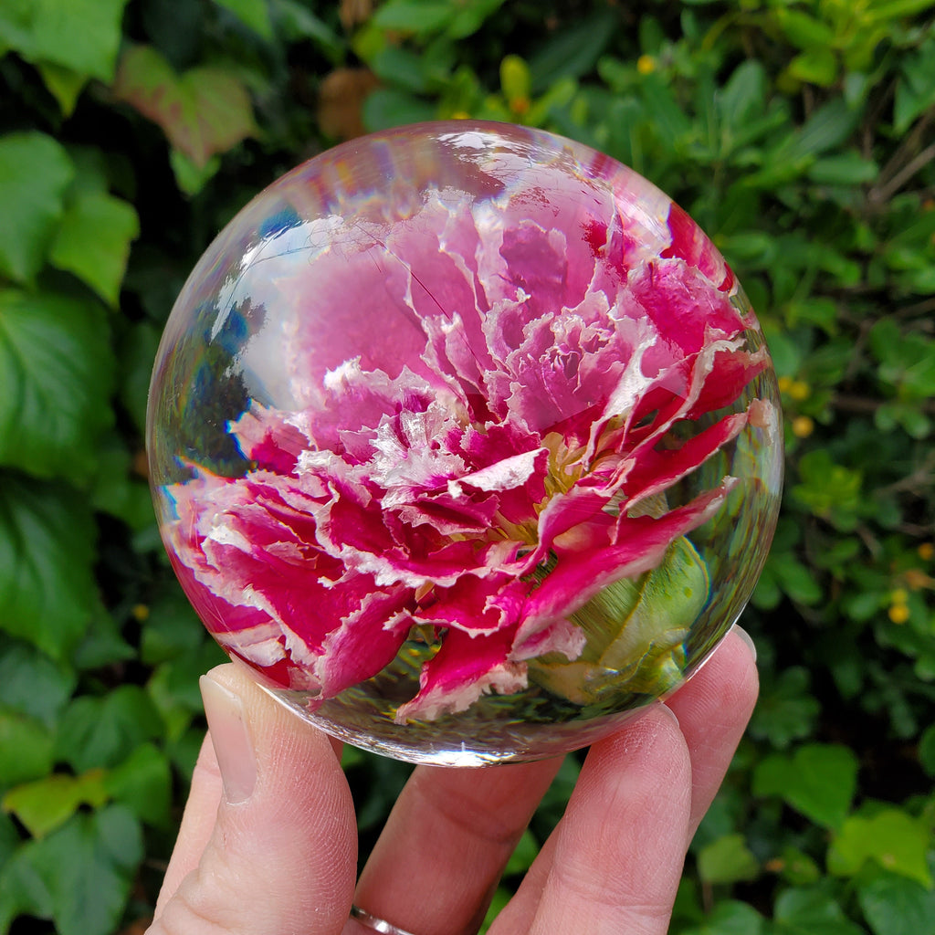 Pink Carnation Resin Sphere with Light Base | Handmade Resin Craft with Real Carnation Inside - Home Décor Night Light, Accent Lighting