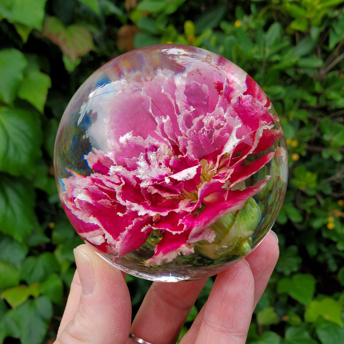 Pink Carnation Resin Sphere with Light Base | Handmade Resin Craft with Real Carnation Inside - Home Décor Night Light, Accent Lighting
