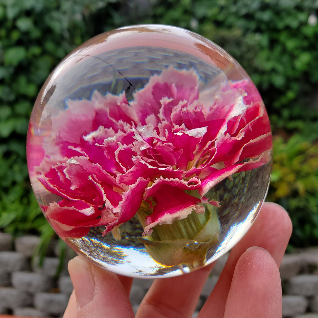 Pink Carnation Resin Sphere with Light Base | Handmade Resin Craft with Real Carnation Inside - Home Décor Night Light, Accent Lighting