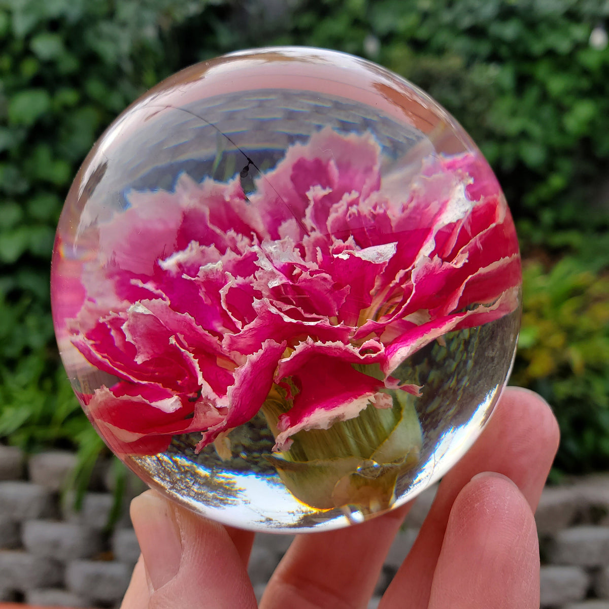 Pink Carnation Resin Sphere with Light Base | Handmade Resin Craft with Real Carnation Inside - Home Décor Night Light, Accent Lighting