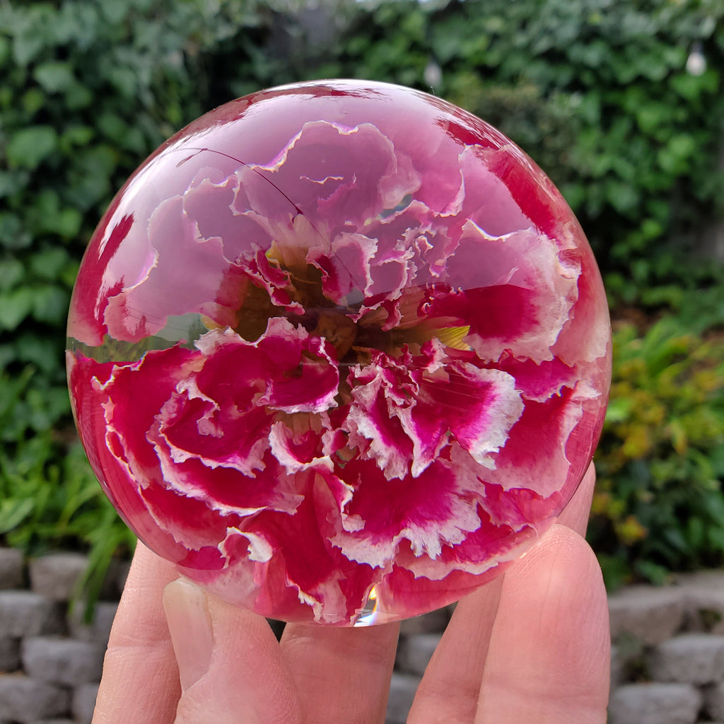 Pink Carnation Resin Sphere with Light Base | Handmade Resin Craft with Real Carnation Inside - Home Décor Night Light, Accent Lighting