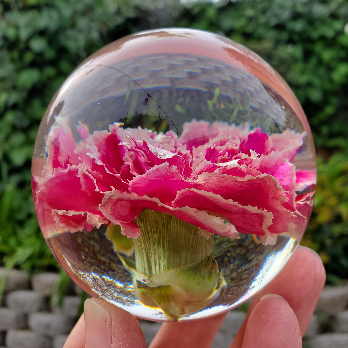 Pink Carnation Resin Sphere with Light Base | Handmade Resin Craft with Real Carnation Inside - Home Décor Night Light, Accent Lighting