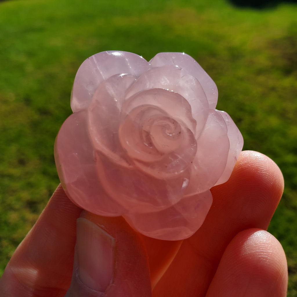Butterfly & Rose Gift Set - Fluorite Butterfly and Ring + Rose Quartz Rose + Unicorn Bracelet - Clarity, Grounding, Love, Protection