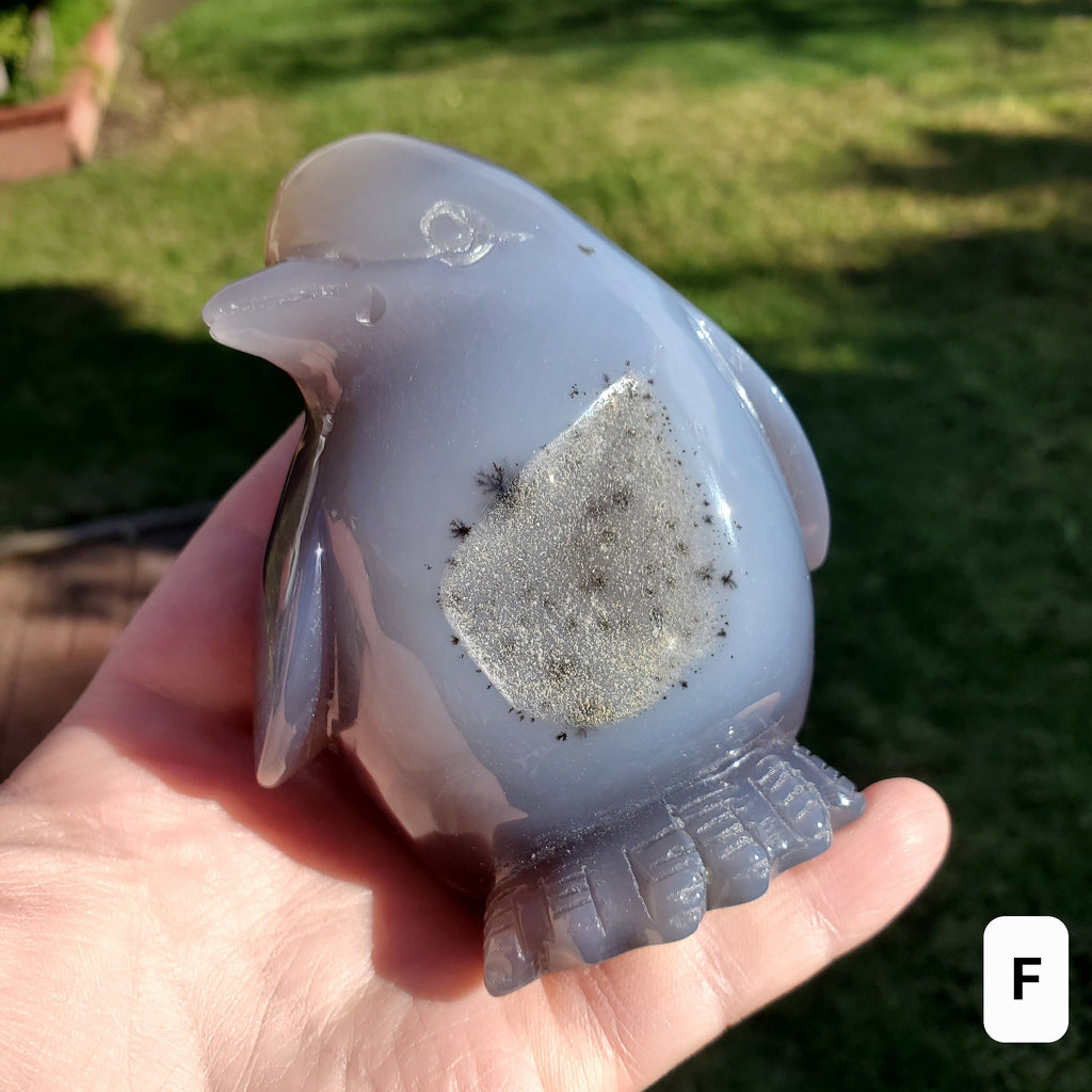 Cute Druzy Agate Penguin - Protection, Security, Emotional Stability, Gentle Energy - Carved Penguin Crystal Healing Crystals Gemstones
