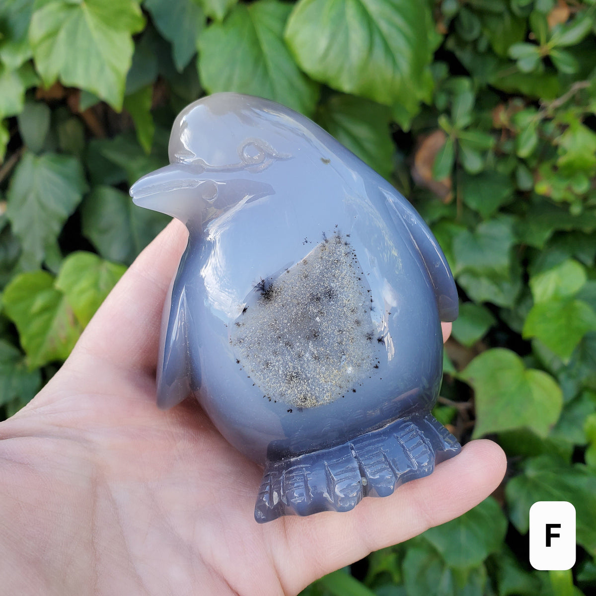 Cute Druzy Agate Penguin - Protection, Security, Emotional Stability, Gentle Energy - Carved Penguin Crystal Healing Crystals Gemstones