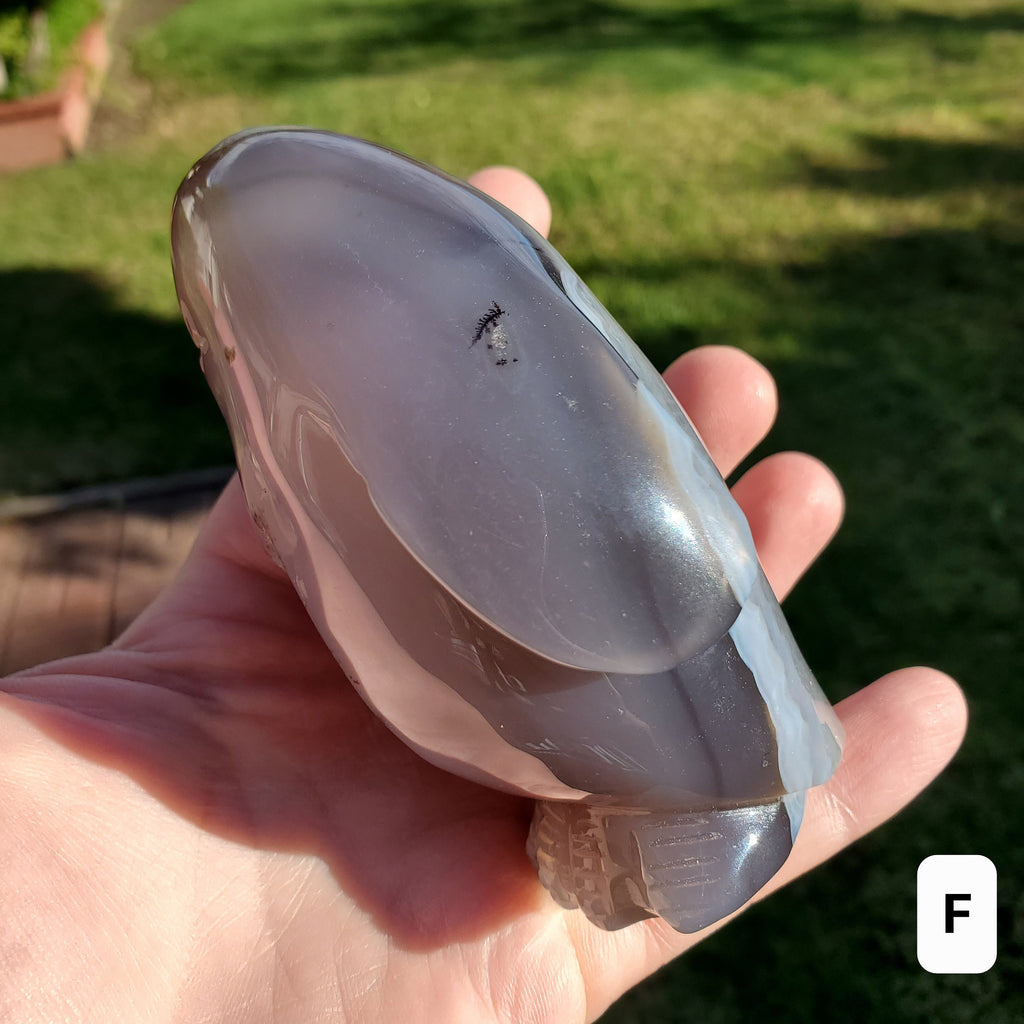 Cute Druzy Agate Penguin - Protection, Security, Emotional Stability, Gentle Energy - Carved Penguin Crystal Healing Crystals Gemstones