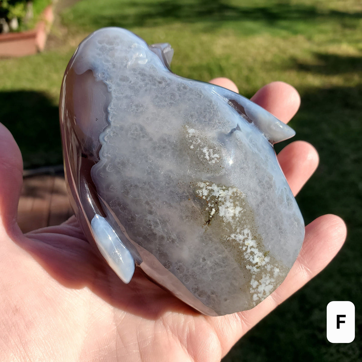 Cute Druzy Agate Penguin - Protection, Security, Emotional Stability, Gentle Energy - Carved Penguin Crystal Healing Crystals Gemstones