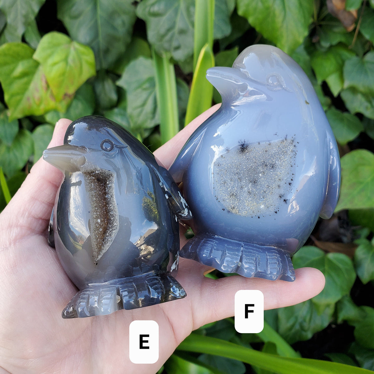 Cute Druzy Agate Penguin - Protection, Security, Emotional Stability, Gentle Energy - Carved Penguin Crystal Healing Crystals Gemstones