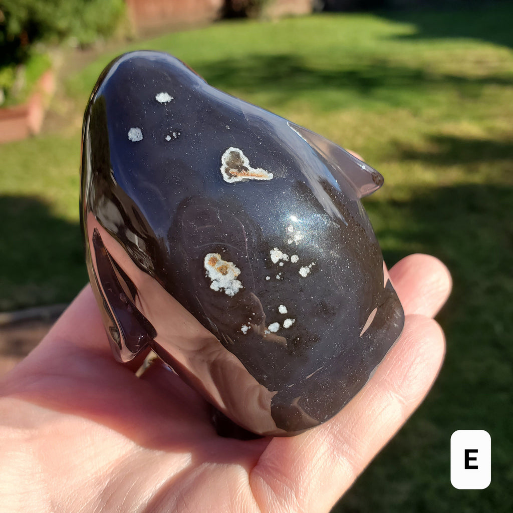 Cute Druzy Agate Penguin - Protection, Security, Emotional Stability, Gentle Energy - Carved Penguin Crystal Healing Crystals Gemstones