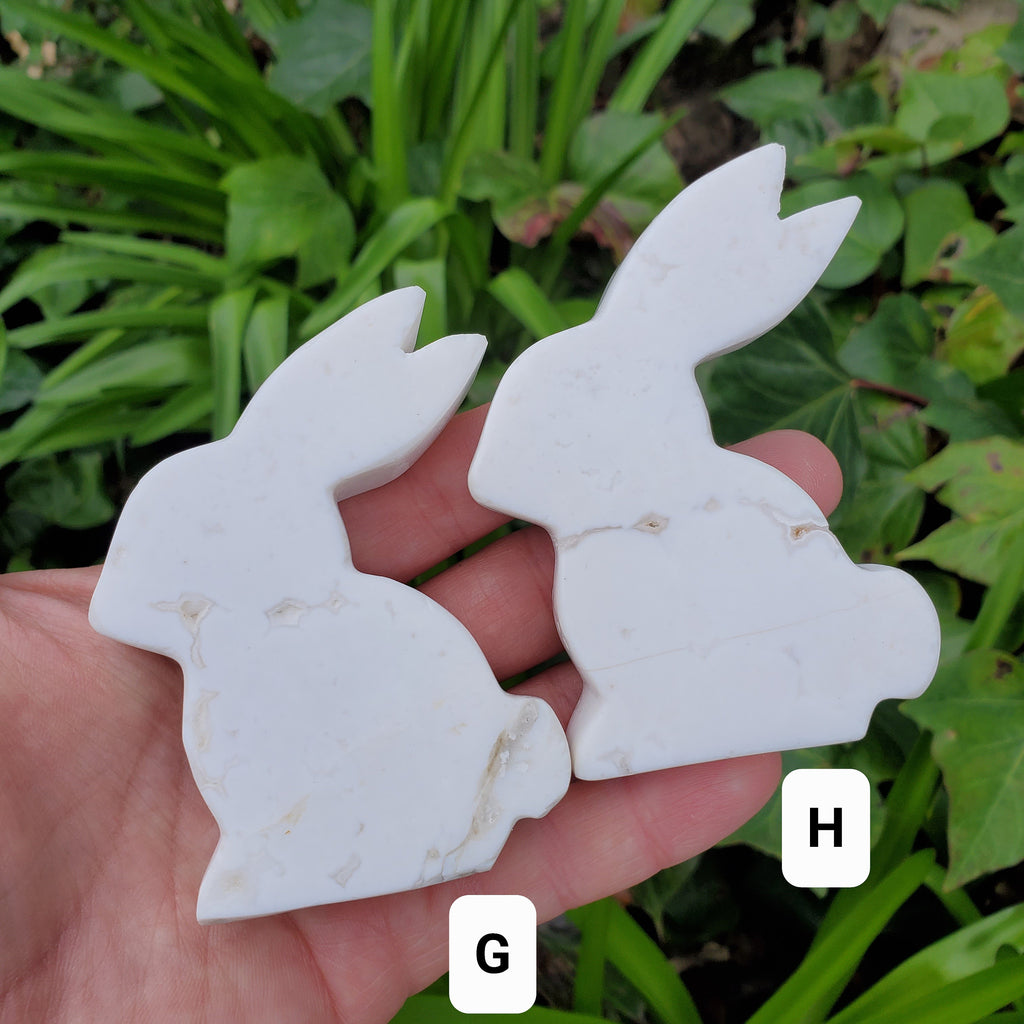 Snow Agate Bunny - Balances Females Ying Yang Energy - White Plume Agate Bunny Stone Healing Crystals Gemstones