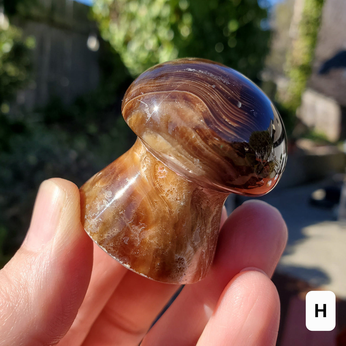 Cute Chocolate Calcite Mushroom - Awareness, Calming, Cleansing, Personal Growth - Calcite Mushie Carving Healing Gemstones